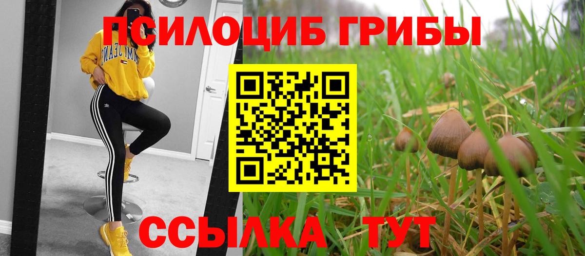 Ангарск  продажа наркотиков  Вход с VPN  Псилоцибиновые грибы мицелий 