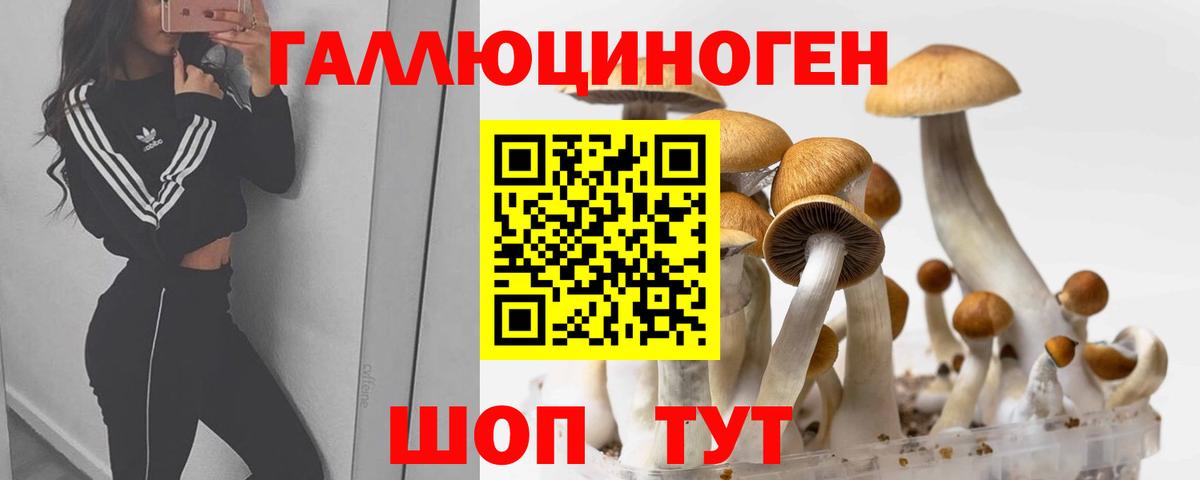 Псилоцибиновые грибы Psilocybine cubensis Ангарск